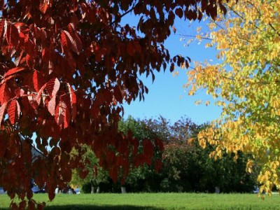 蚌埠抖音月付赋能本土消费 出财小神成年轻群体便民新选择