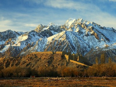 闲鱼花呗套现风险多？“出财小神”提醒：合规周转更安心