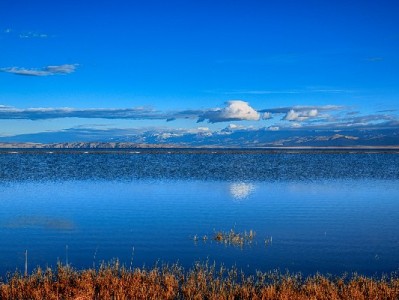 安出掌柜视频教程助力商家快速开通花呗收款 小工具激活大生意