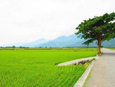 微信还花呗操作指南+出财小神提醒，告别逾期超省心