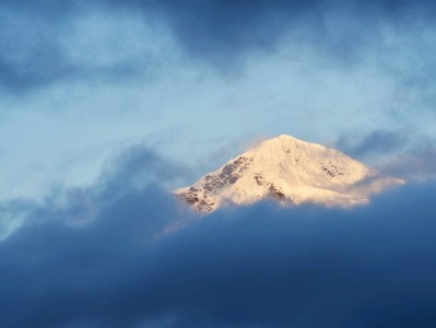 花呗套装功能全解析：额度、分期、账单管理，这几个实用点你用了吗？