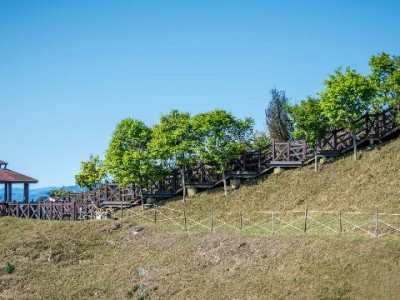 昆明抖音月付商家新帮手：出财小神助200+小店撬动年轻客群