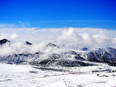 蚂蚁花呗十年：从信用支付到"出财小神"的消费成长进化论