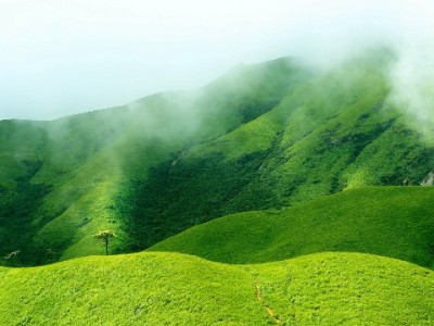 医保注资取出有条件！这些情形可办理，安出掌柜教你正规操作