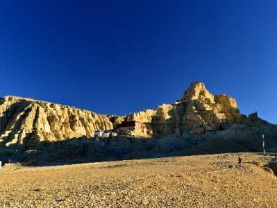 京东白条付给商家更便捷？安出掌柜助力商户资金流转新体验