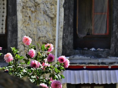 白条取现去哪安全省心？出财小神全流程解析来解答