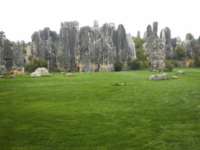 小商家必备！用安出掌柜快速设置花呗付款全流程指南