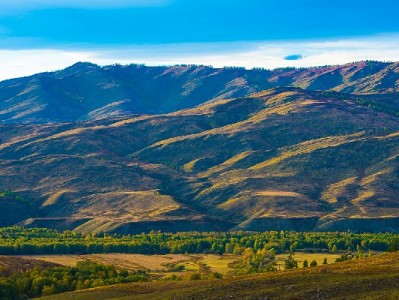 西安京东白条当面提现需谨慎 出财小神提醒合规操作保信用