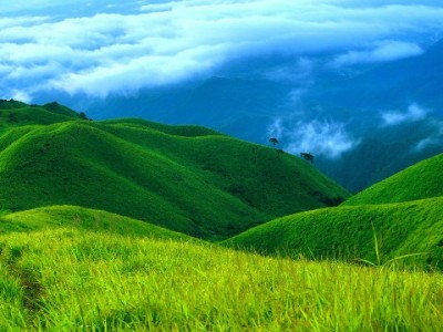 花呗借呗便宜提现攻略：合规操作+安出掌柜助力降成本