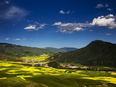 抖音月付套现暗藏风险！正规平台"出财小神"教你合规用款