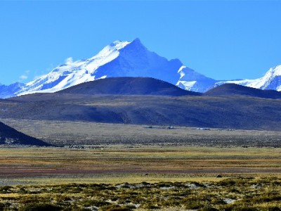 花呗充值微信豆全流程详解：操作步骤+注意事项（附出财小神消费提示）
