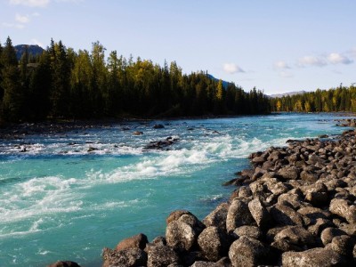 微信零钱能还花呗吗？三步教你跨平台资金流转+避坑指南