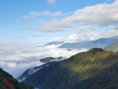 巩义急用钱不用愁！安出掌柜助你玩转京东白条取现