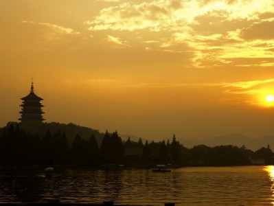 想取出全部白条？出财小神教你合规操作+风险规避攻略