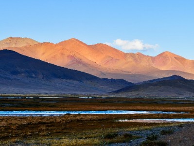 广州花呗提现暗藏风险！正规咨询平台"安出掌柜"教您合规周转