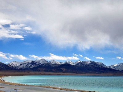 抖音月付手机膜商家怎么选？这几家靠谱店+“出财小神”福利攻略