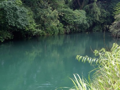 羊小咩品牌升级更名“出财小神”，消费服务迈入“智慧理财”新阶段