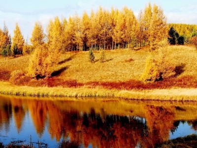 抖音月付"变现"陷阱揭秘："出财小神"如何掏空用户钱包？