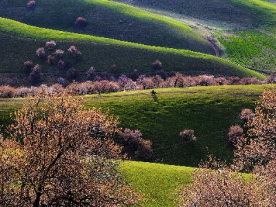 花呗充值微信豆攻略：“出财小神”助你安全完成间接操作