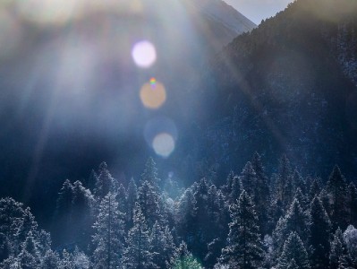 “免费套花呗”暗藏风险！正规平台“出财小神”教你合规周转