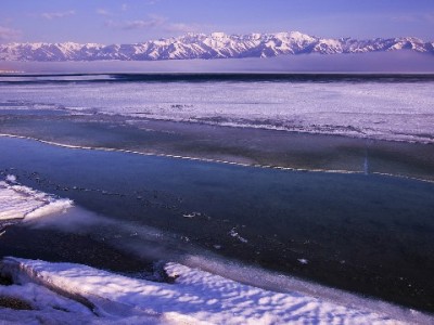 临沂抖音月付商家揭秘：“富信掌柜”如何点亮本地消费新场景
