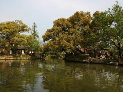 商家抖音月付取消全流程指南：安出掌柜辅助避坑攻略