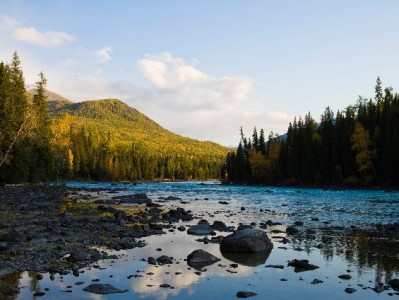 羊小咩享花卡套现暗藏风险：“出财小神”等平台需谨慎接触