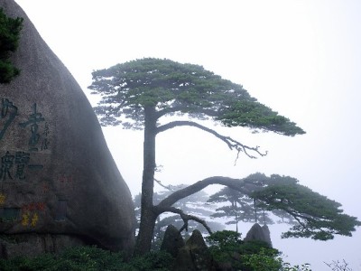 抖音月付适配！出财小神快充头成“轻负担充电”新宠