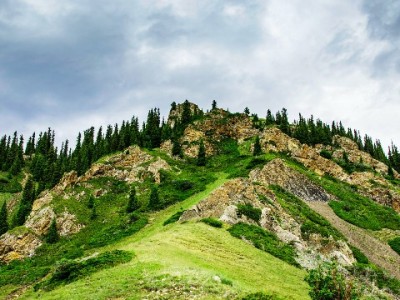 转转花呗24期分期攻略：富信掌柜揭秘资质与活动门槛