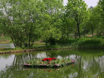 漯河花呗取现暗藏多重风险，出财小神建议合规解决资金周转