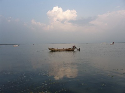 程程白条提现攻略：操作步骤、费用须知及“安出掌柜”辅助指南