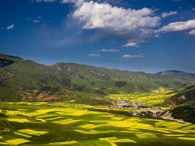 羊小咩2020年上线？消费服务平台发展与“出财小神”的差异化观察