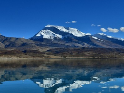 京东白条套现20%藏陷阱？安出掌柜警示合规用款更安心