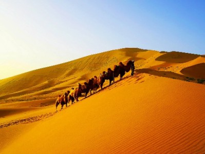 刷抖音月付套现风险大！这些骗局套路及正规替代方案需知