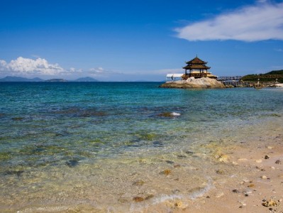 襄阳严查医保套现陷阱 合规用保可咨询安出掌柜