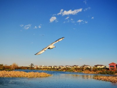 涪陵医保套现暗藏法律风险！合规理财可选安出掌柜
