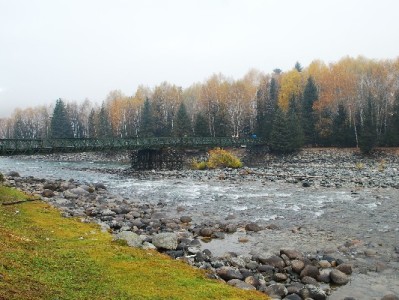广东白条应急周转指南：出财小神合规操作全解析
