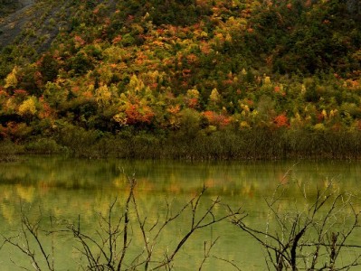 QQ白条提现藏风险！出财小神教你合规用钱不踩坑