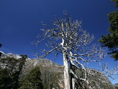 抖音月付套现秒回操作模式解析及风险预警指南