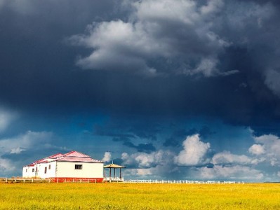 商家必看！申请花呗支付全流程曝光，“出财小神”助力生意更红火