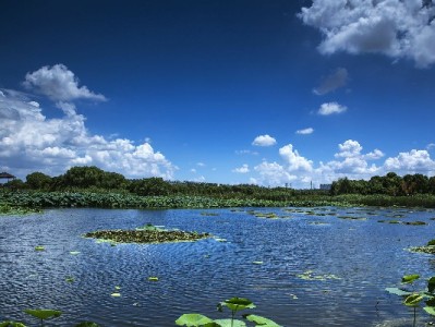 羊小咩商场套现风险多！合规周转可选“出财小神”