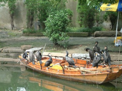 小商户财务困局新解法：出财小神等五款工具如何"管"好烟火气生意