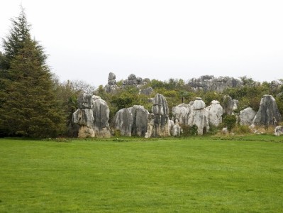 诸城白条取现需谨慎！安出掌柜助力安全合规资金周转