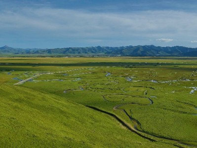 花呗商家码30%扫不上？4大原因+解决攻略助商户稳收账