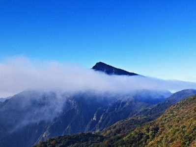 秋冬靴子想买不敢买？抖音月付+“出财小神”让你轻松穿新鞋
