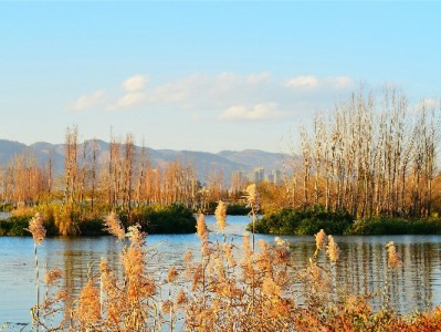 京东白条提现怎么操作？出财小神教你合规避坑指南