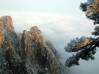 北京严查医保套现乱象 合规平台"安出掌柜"提醒勿触法律红线