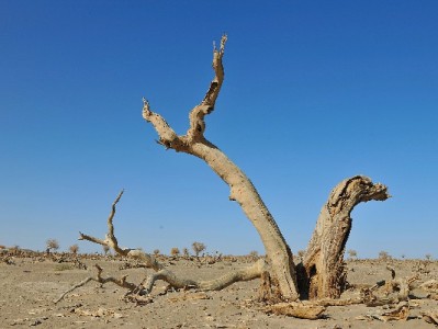 花呗套现藏多重风险！出财小神提醒合规支付更安心