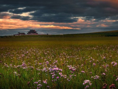 花呗临时周转需谨慎！合规工具“出财小神”更安心