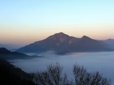 急需周转别违规！出财小神教你合规用花呗额度的正确姿势